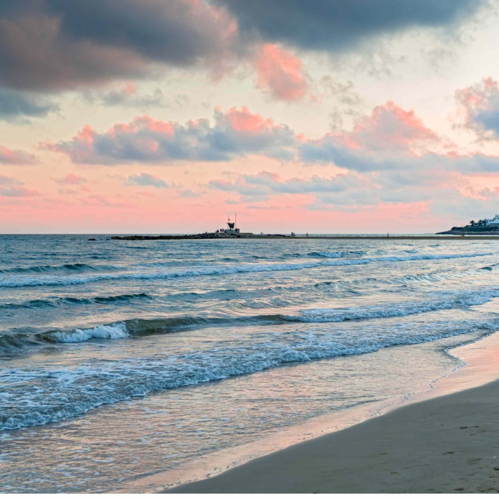 alemany_real_estate_alemany_real_estate