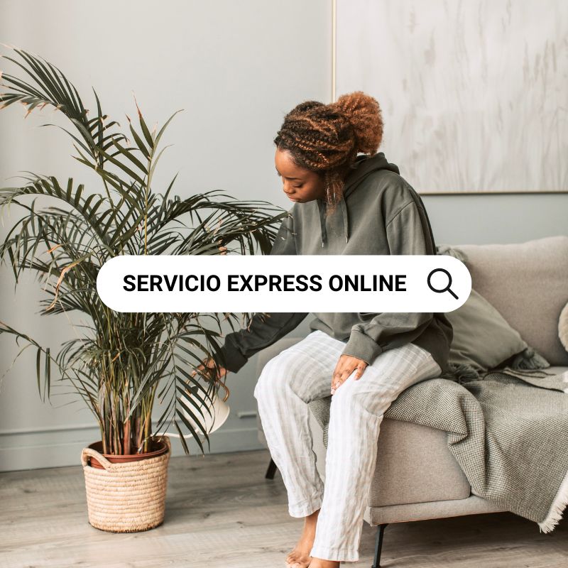 servicio-online-express-alemany-real-estate